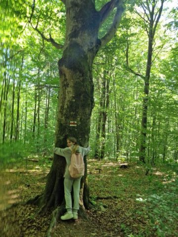 b_1024_768_0_00_images_2022_2023_SKKT_PTTK_rajd_czerwiec_352322168_167298699449302_962918100509125898_n